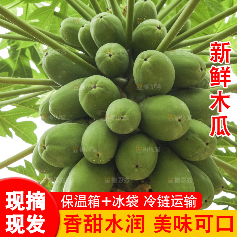 树上的木瓜