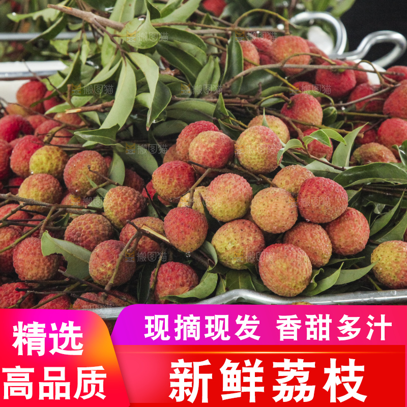 树上的荔枝