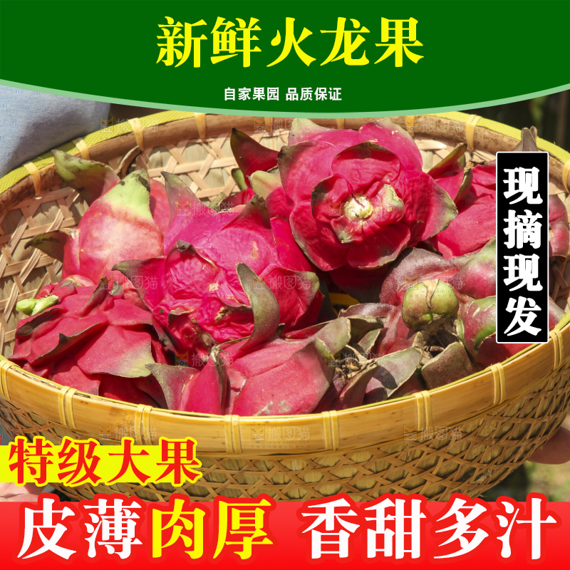火龙果产地
