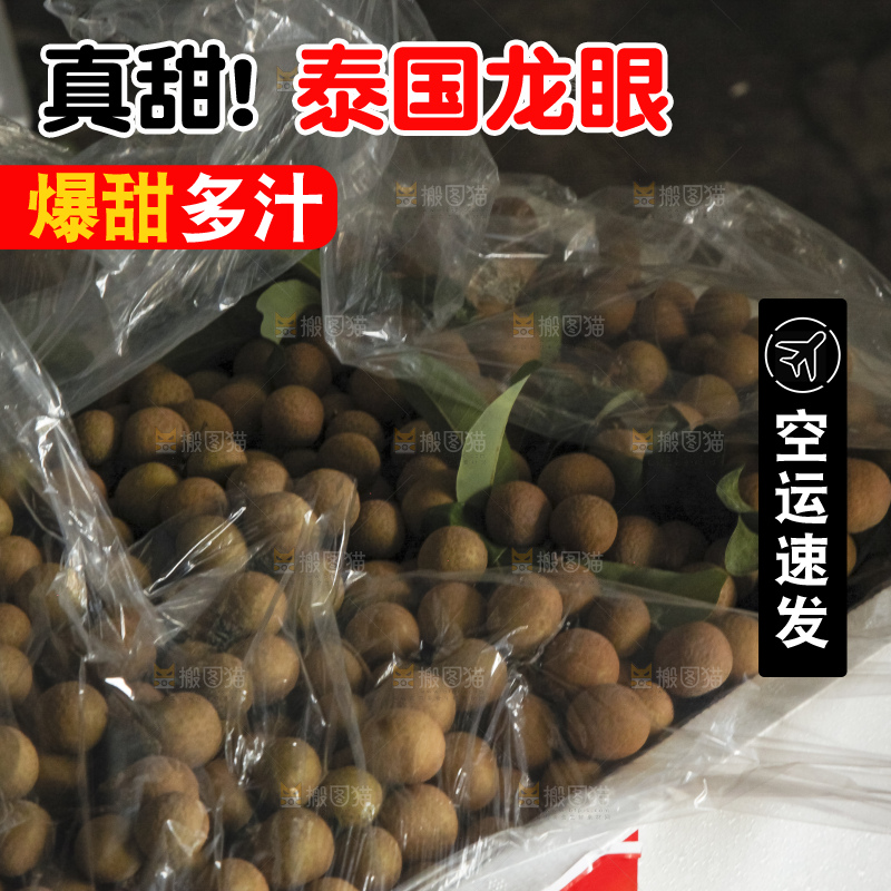 树上的新鲜龙眼