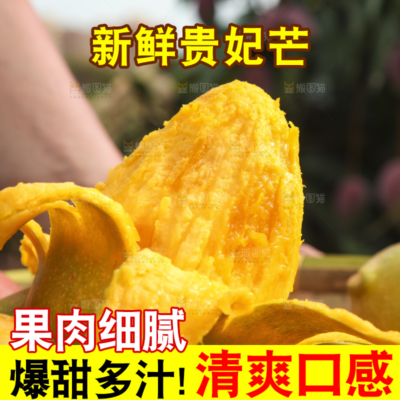 树上的新鲜芒果