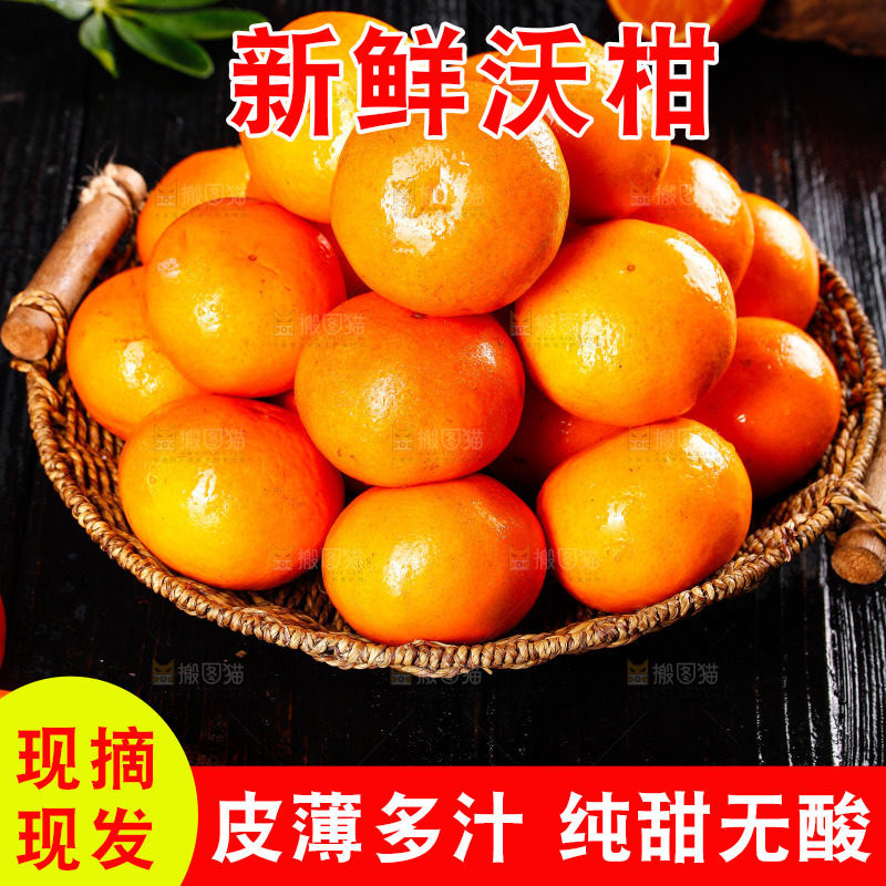 深底上的沃柑