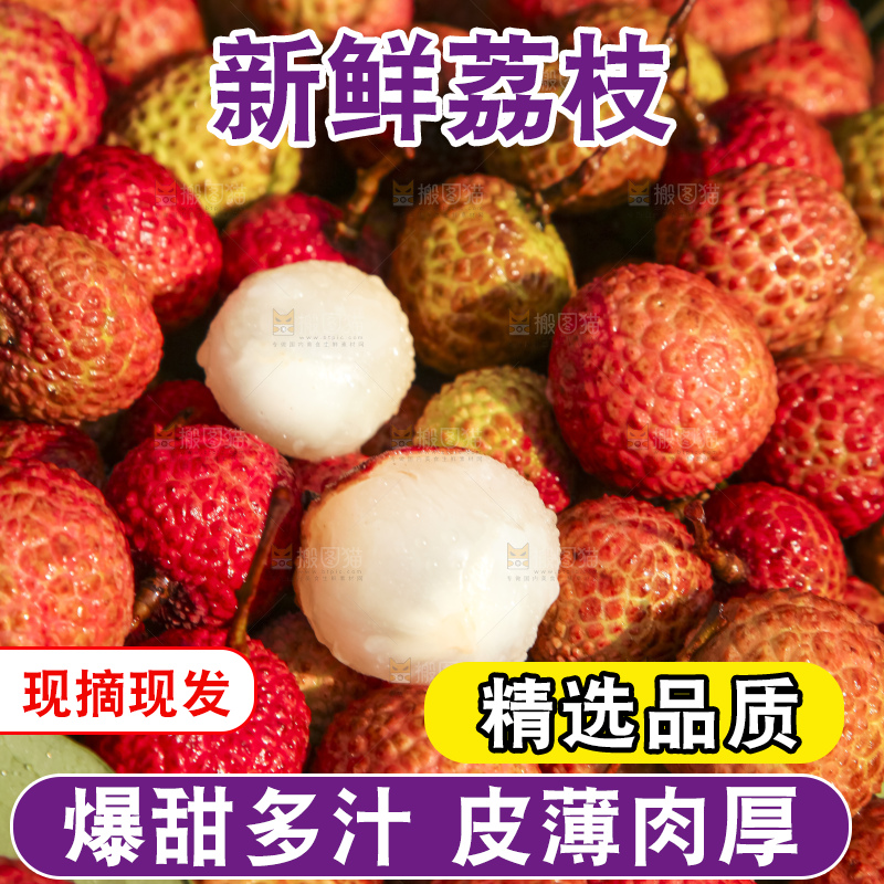 树上的荔枝