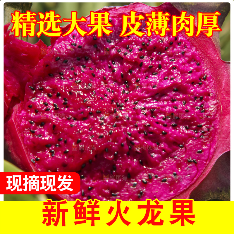 火龙果产地