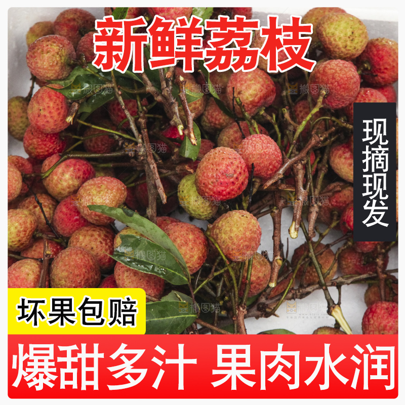 树上的荔枝