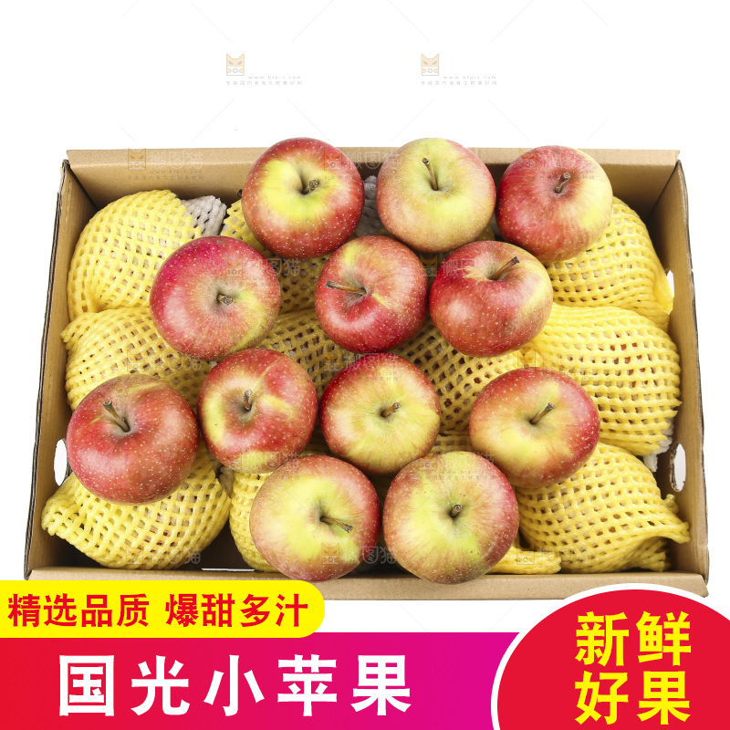 白底上的国光苹果