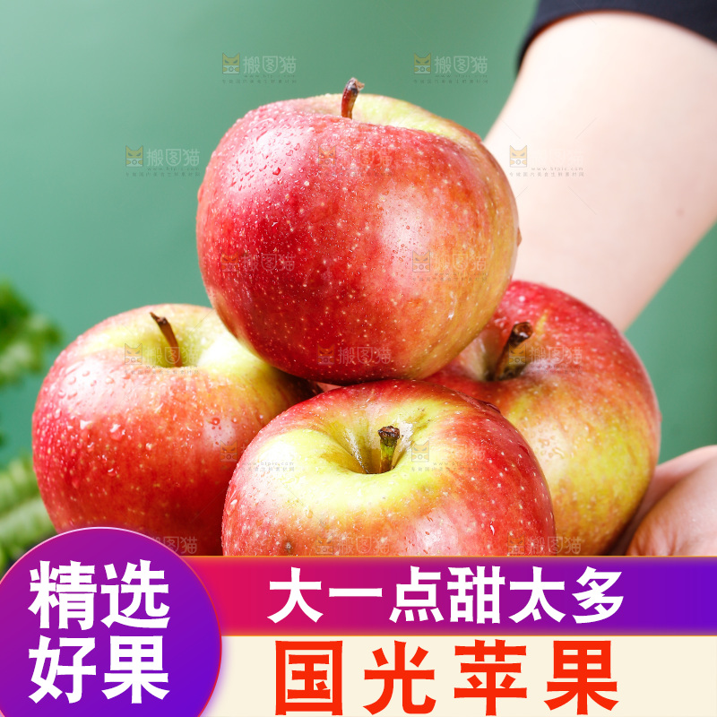 浅底上的国光苹果