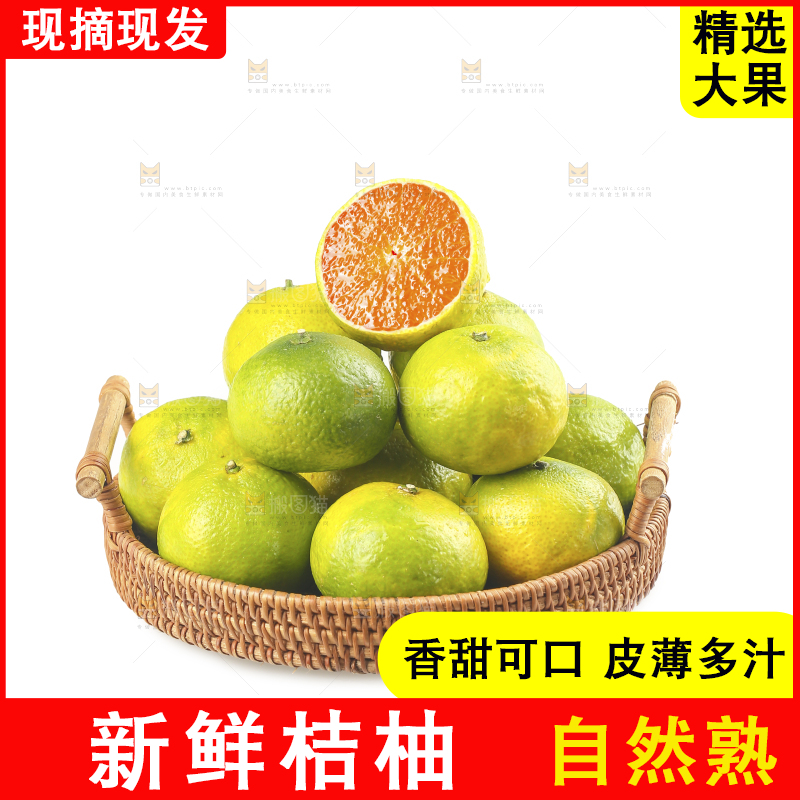白底上的桔柚