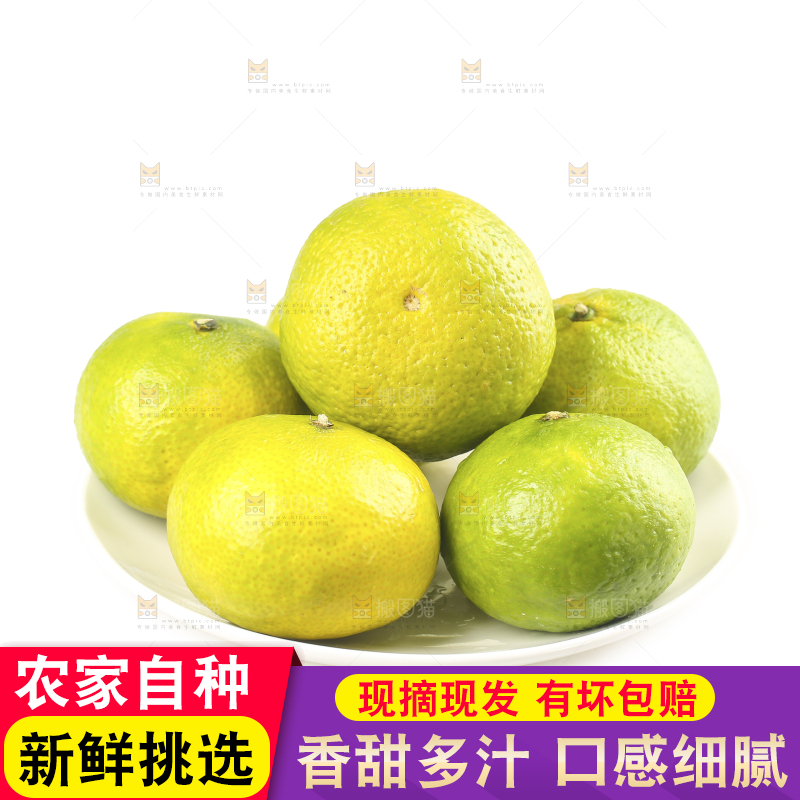白底上的桔柚