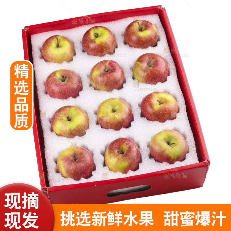 白底上的国光苹果