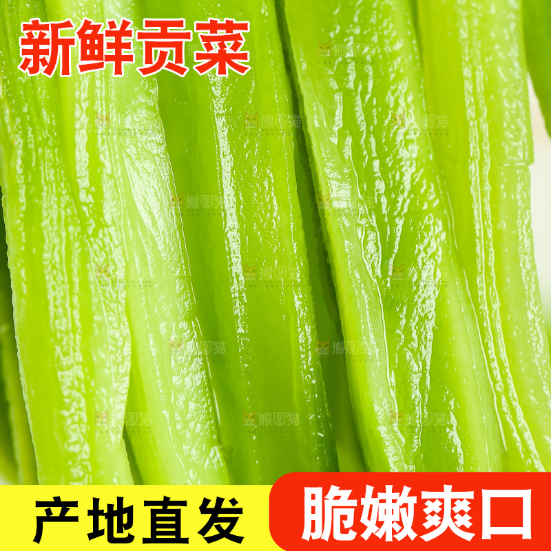 浅底上的贡菜