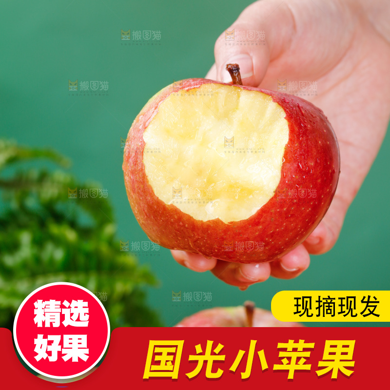 浅底上的国光苹果