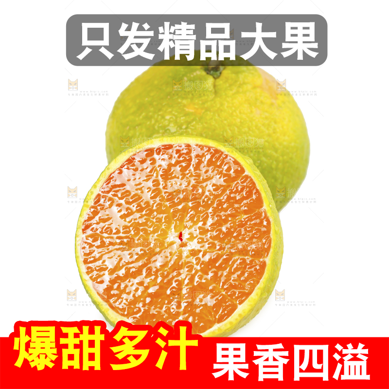 白底上的桔柚