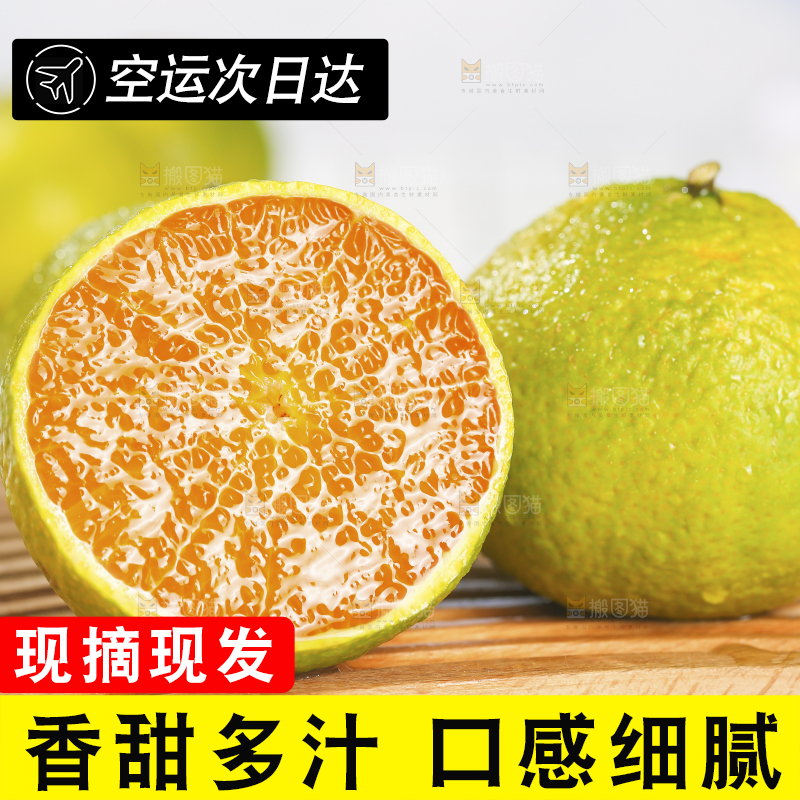 浅底上的桔柚