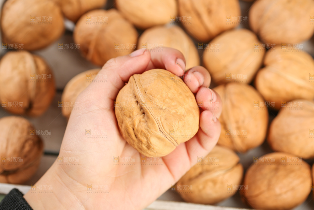 手里拿着核桃