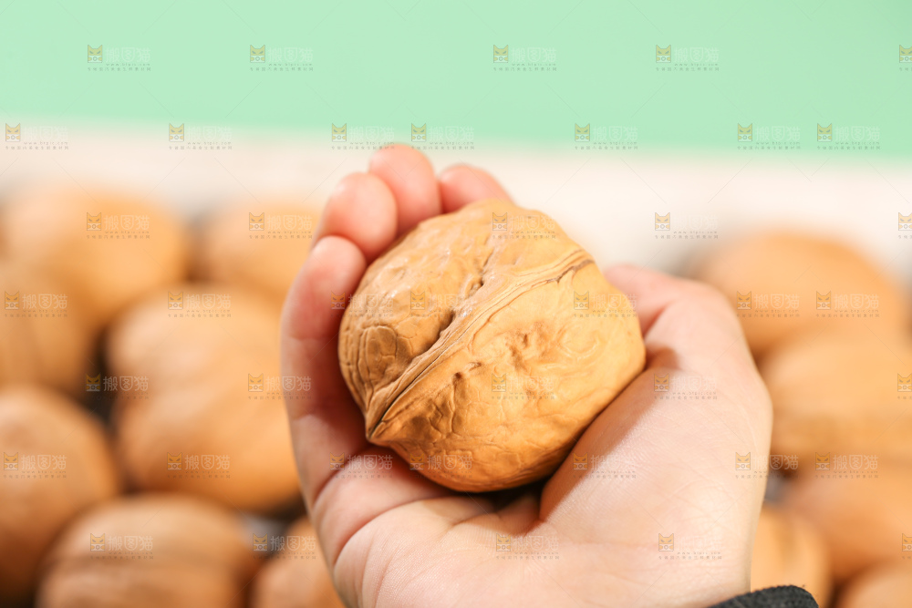 手里拿着核桃