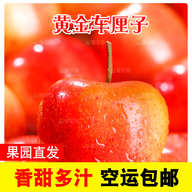 浅底上的黄金车厘子