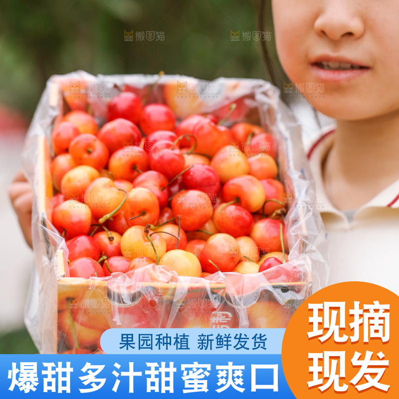 手里拿着黄金车厘子