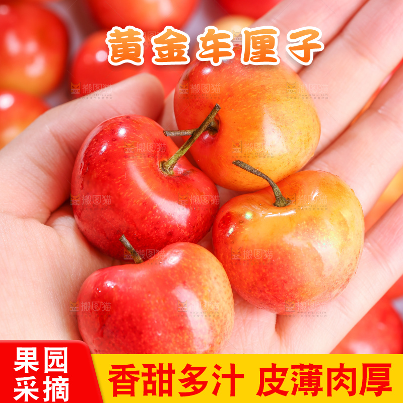 深底上的黄金车厘子