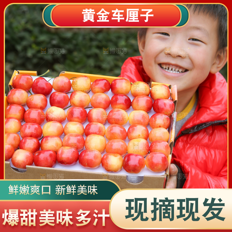 手里拿着黄金车厘子