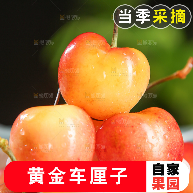 深底上的黄金车厘子