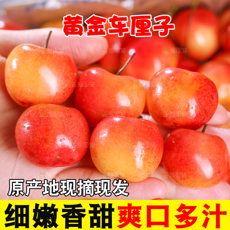 深底上的黄金车厘子