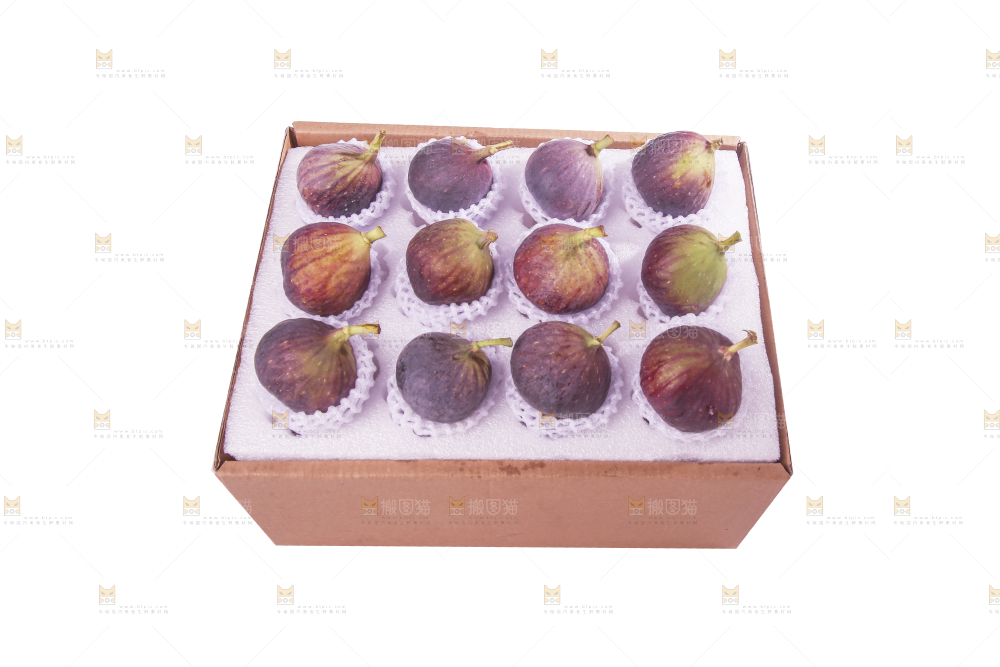 白底上的新鲜无花果