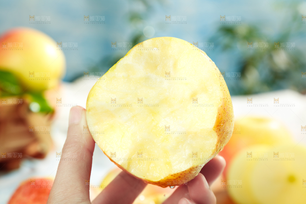 浅底上的雀斑美人