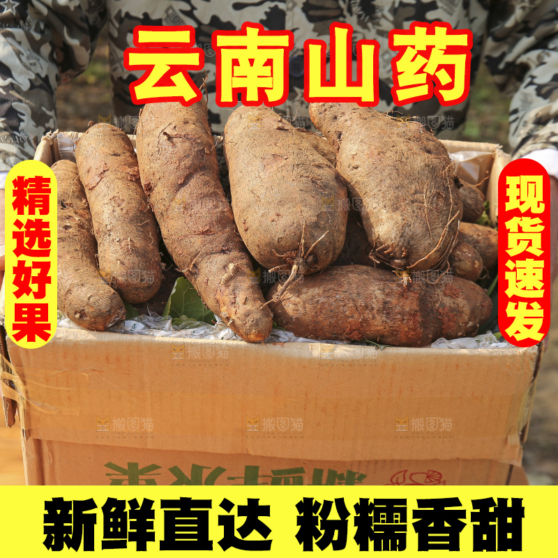 手里拿着云南山药