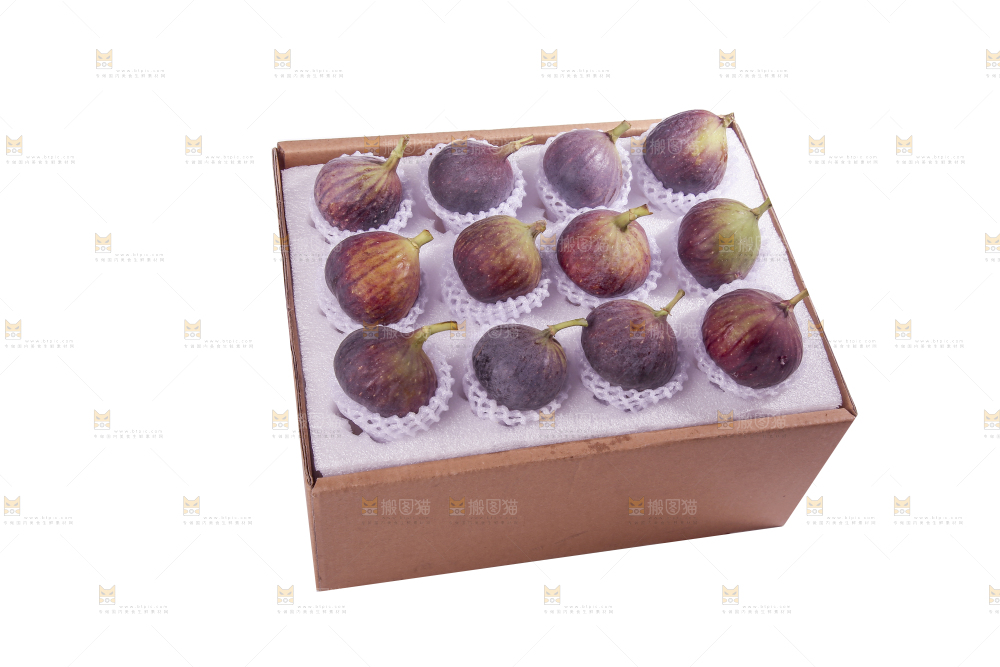 白底上的新鲜无花果