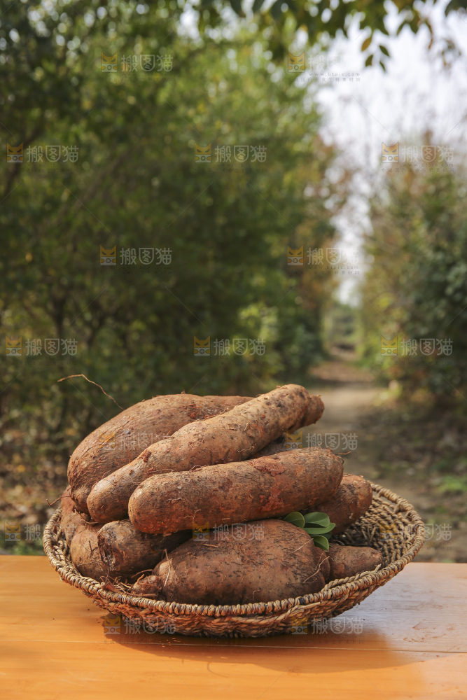 手里拿着云南山药