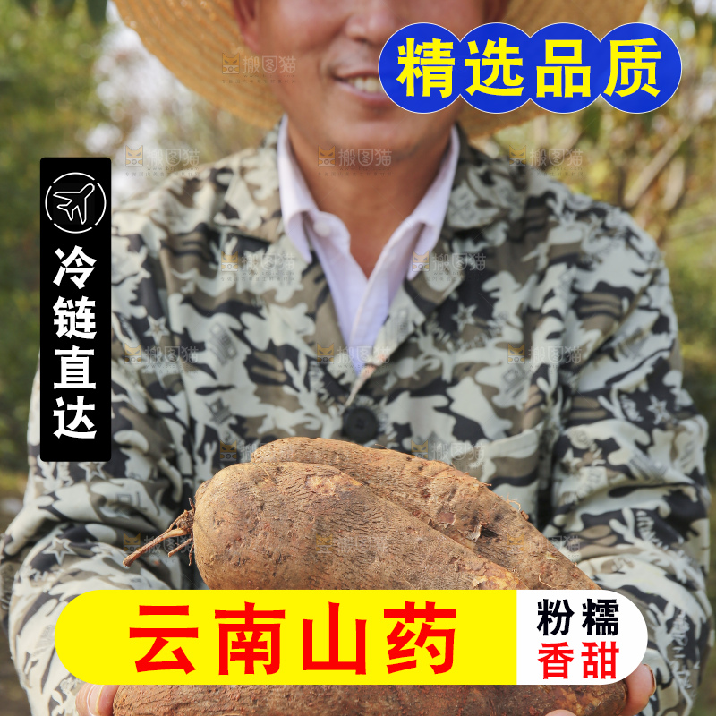 手里拿着云南山药