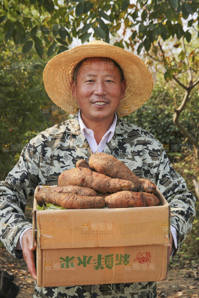 手里拿着云南山药