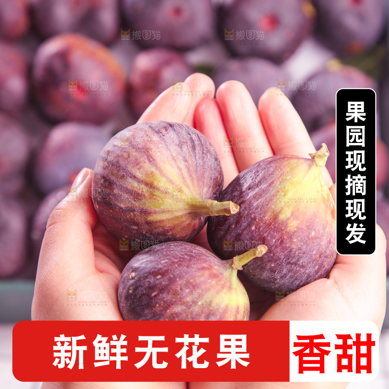 浅底上的无花果