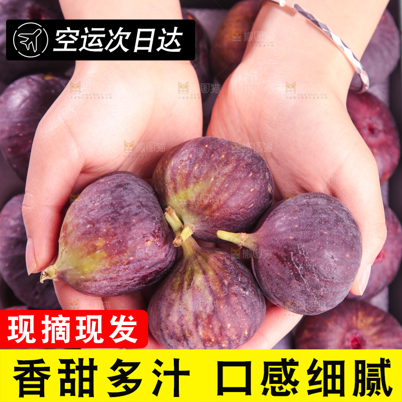 浅底上的无花果