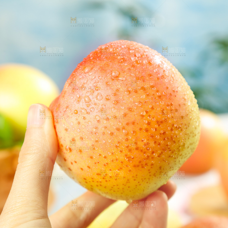 浅底上的雀斑美人