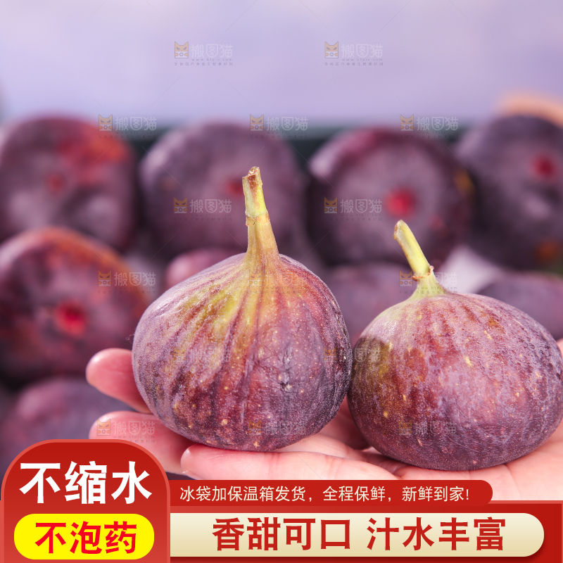 浅底上的无花果