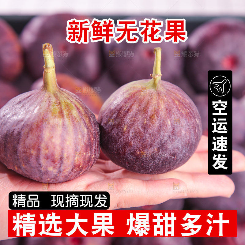 浅底上的无花果