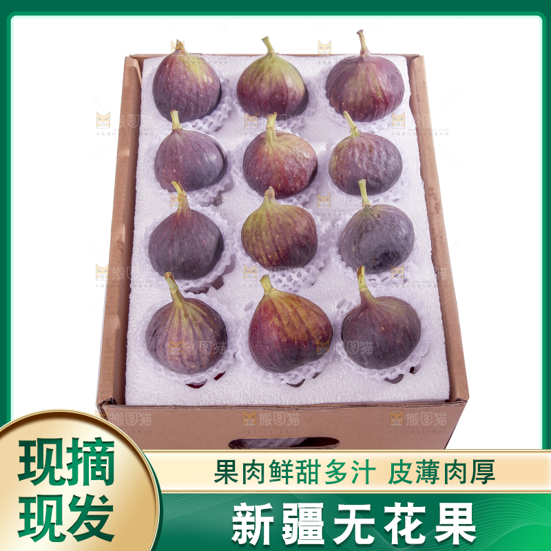 白底上的新鲜无花果