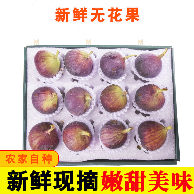 白底上的新鲜无花果