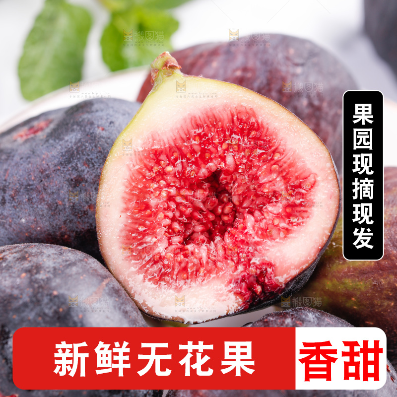 浅底上的无花果