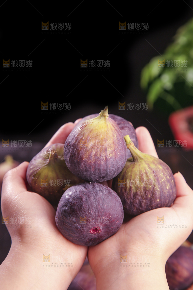 无花果