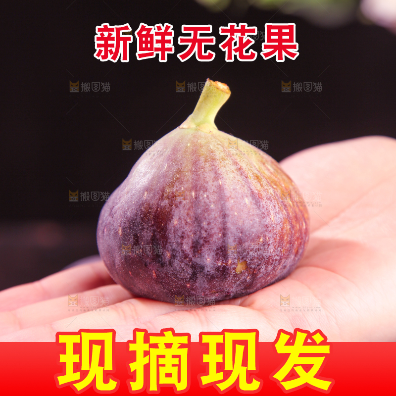 深底上的无花果