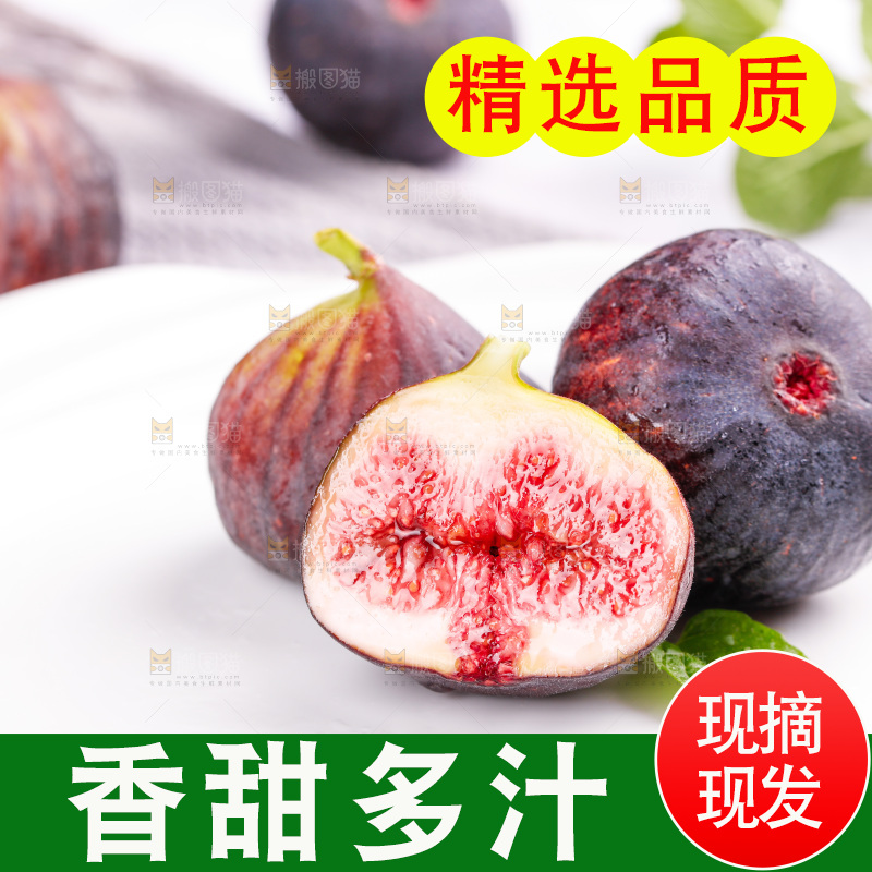 浅底上的无花果