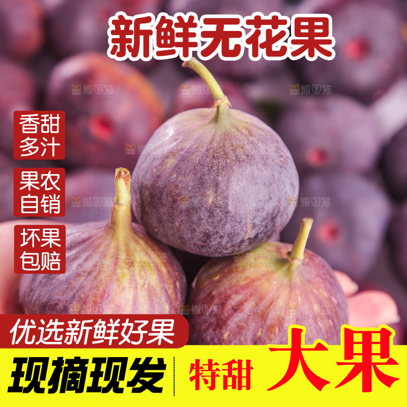 浅底上的无花果
