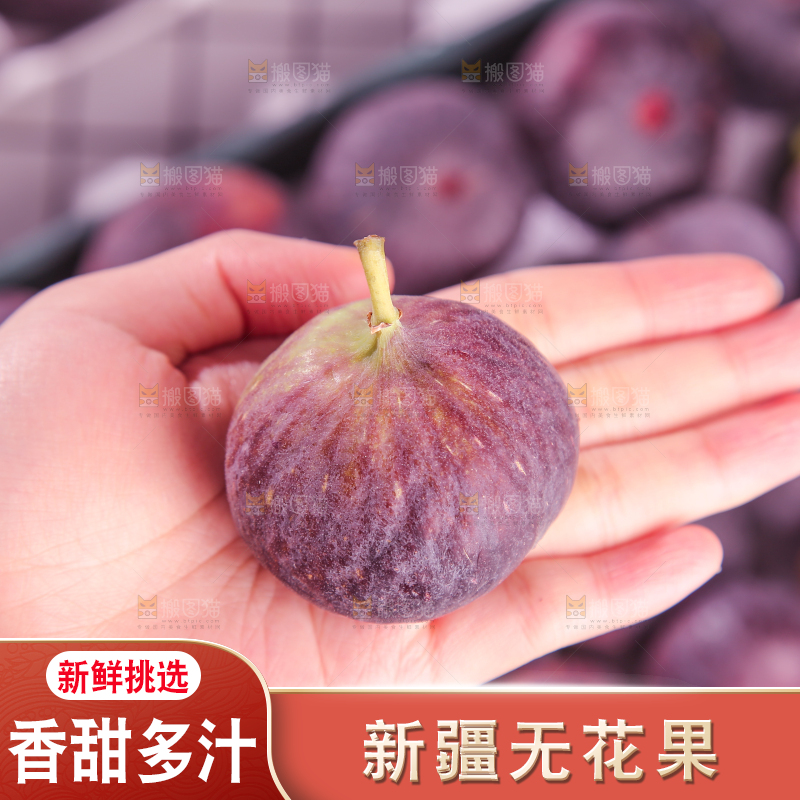 浅底上的无花果