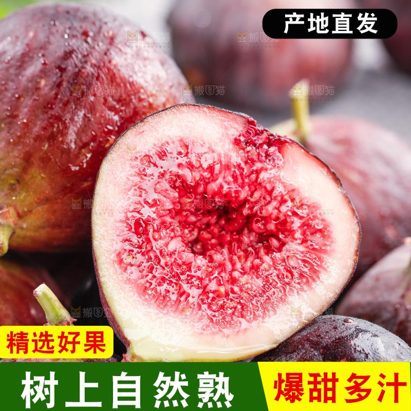 浅底上的无花果