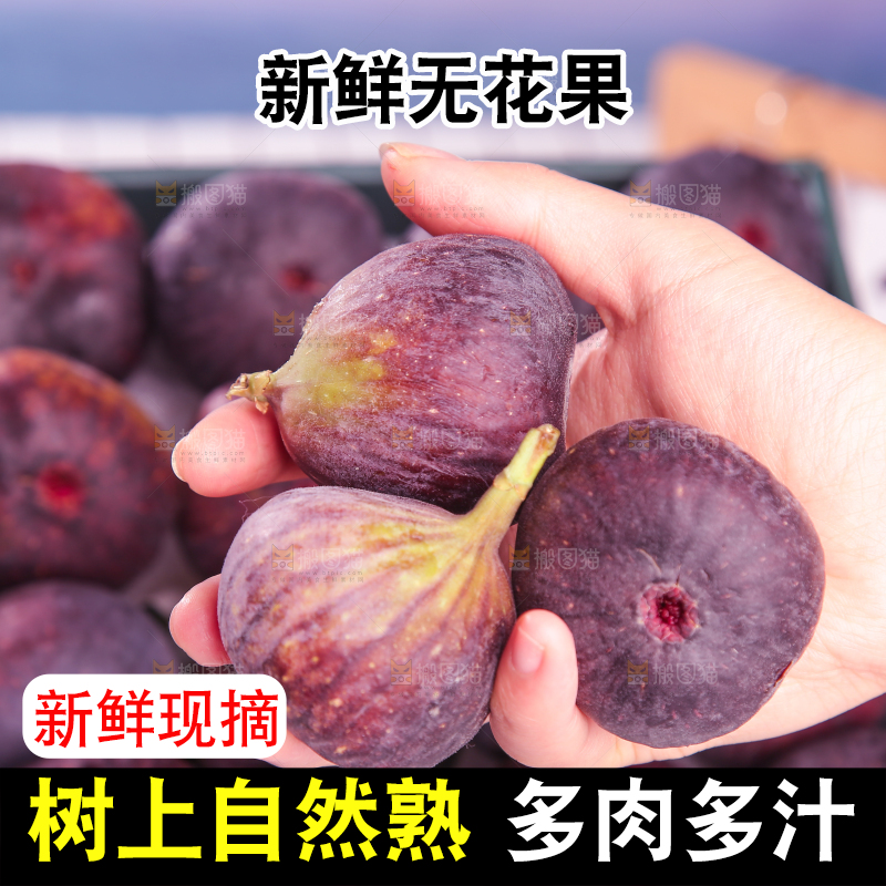 浅底上的无花果