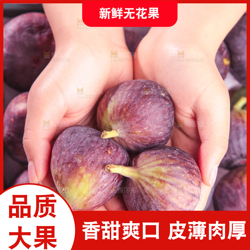 浅底上的无花果
