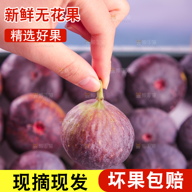 浅底上的无花果